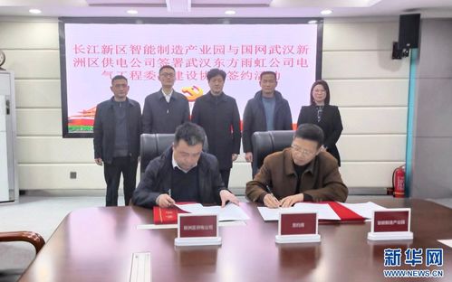 武汉市首个电气工程委托建设项目在长江新区启动实施